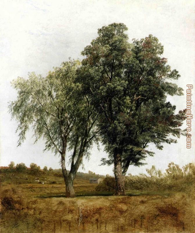 A Study of Trees painting - John Frederick Kensett A Study of Trees art painting